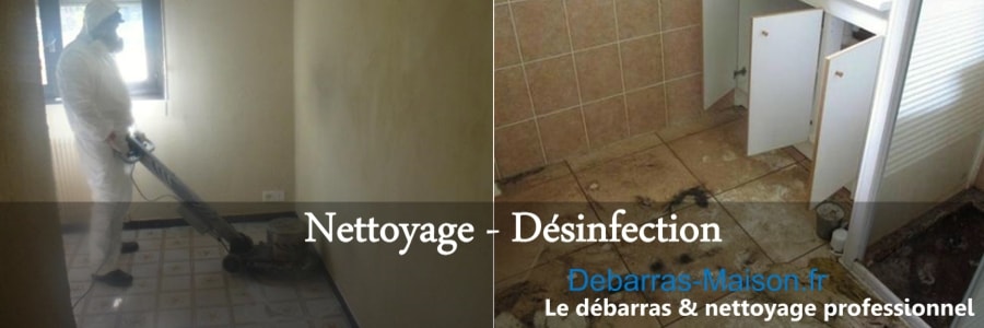 nettoyage de maison insalubre maladies dégénératives